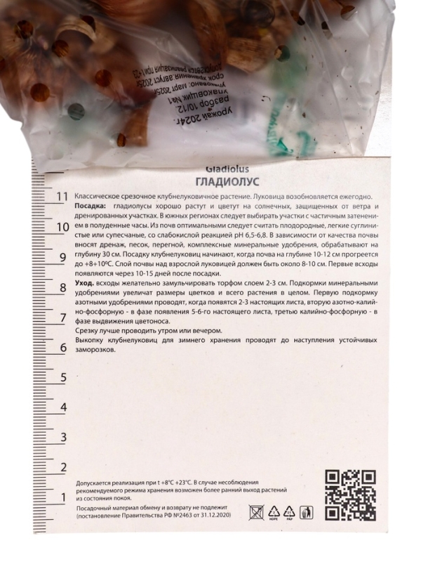 Гладиолус крупноцветковый «Джестер», луковица цветов в пакете с перфорацией, р-р 10/12, 10 шт.