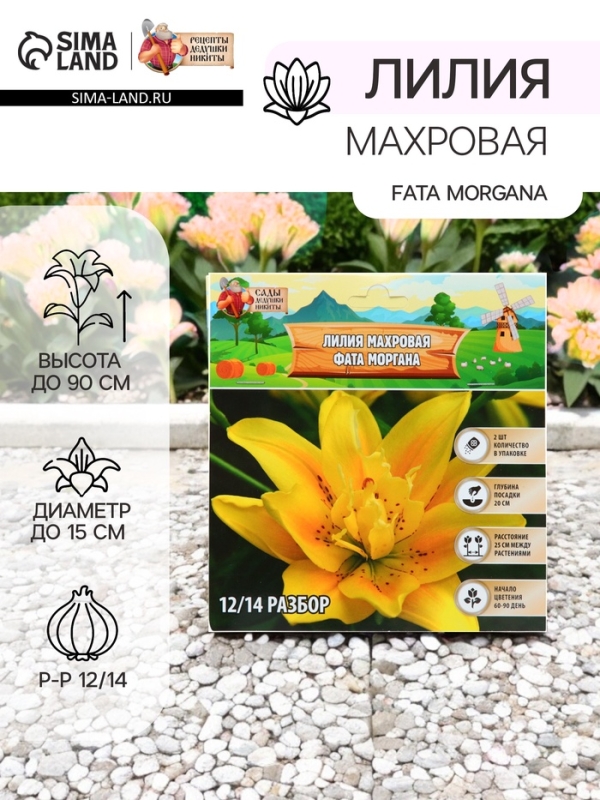 Лилия Махровая Fata Morgana, луковица в пакете с перфорацией, р-р 12/14, 2 шт.