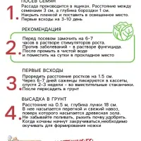 Семена Капуста цветная &laquo;Осенний гигант&raquo; 0.1 г, &laquo;Рецепты дедушки Никиты&raquo;