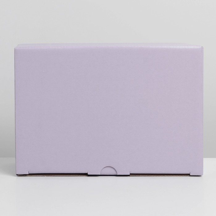 Коробка подарочная складная, упаковка, «Лавандовая», 22 х 15 х 10 см Коробка подарочная складная, упаковка, «Лавандовая», 22 х 15 х 10 см