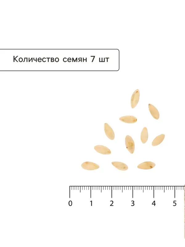 Семена Огурец &laquo;Санькина Любовь&raquo;, F1, супербукетный тип, партенокарпический, 7 шт., &laquo;Уральский дачник&raquo;