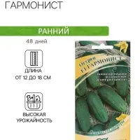 Семена огурца "Гармонист", F1, 10 шт.