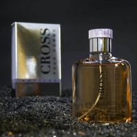 Туалетная вода мужская Cross Bottled, 100 мл (по мотивам Boss Bottled (H.Boss)