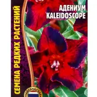 Семена цветов Адениум Kaleidoscope, 3 шт. &laquo;Григорьев&raquo;