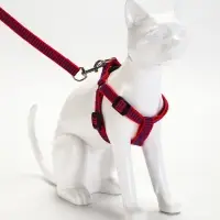 Комплект амуниции рельефный, поводок 120&times;1.5 см, ОГ 36-49 см, красно-синий