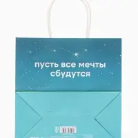Пакет подарочный &laquo;Мечты сбываются&raquo;, Смешарики, 22&times;22&times;11 см