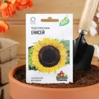 Семена Подсолнечник "Енисей", ц/п,  ХИТ х3, 5 г Семена Подсолнечник "Енисей", ц/п,  ХИТ х3, 5 г
