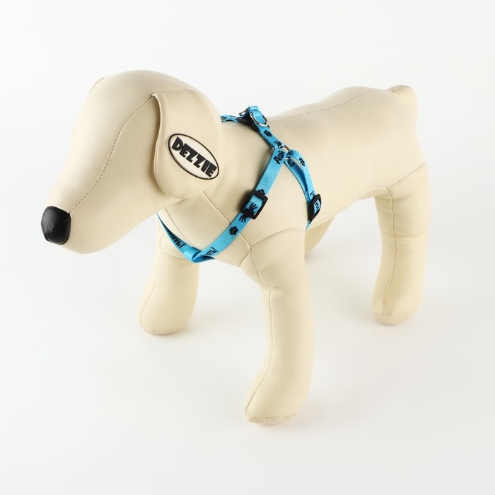 Комплект «Дай пять», шлейка 26-39 см, поводок 120х1 см Комплект «Дай пять», шлейка 26-39 см, поводок 120х1 см