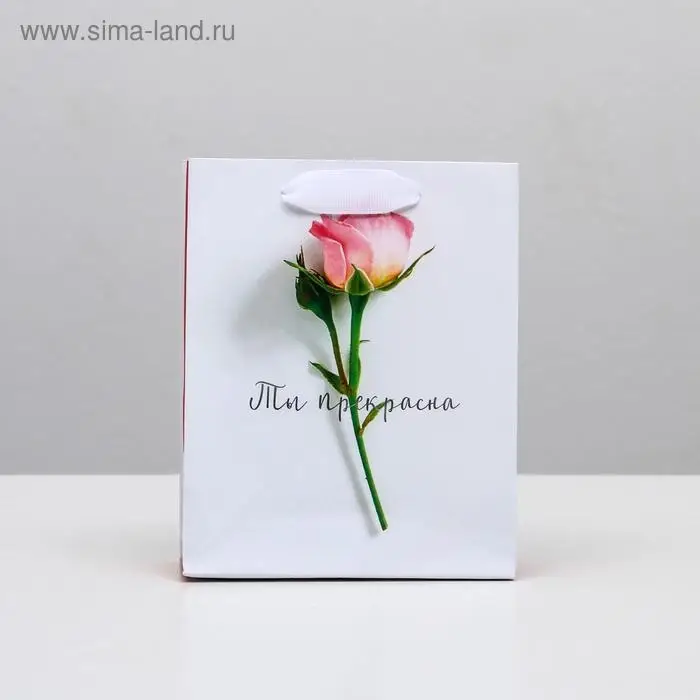 Пакет подарочный ламинированный, упаковка, «Ты прекрасна», S 12 х 15 х 5.5 см