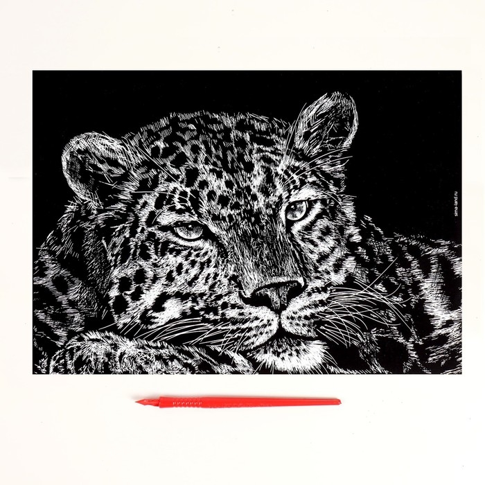 Гравюра «Гепард» с металлическим эффектом «серебро» А4