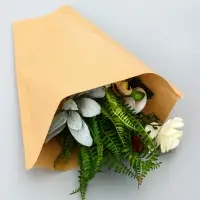 Пакет - конус крафт, 12+35×40 см