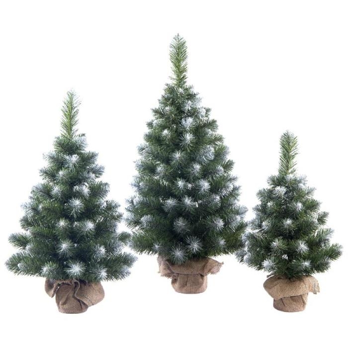 Ель настольная Канадская 70 см, d нижнего яруса 43 см Ель настольная Канадская 70 см, d нижнего яруса 43 см