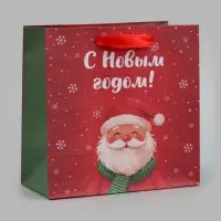 Пакет подарочный &laquo;С Новым годом&raquo;, Дед Мороз, 22&times;22&times;11 см