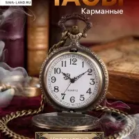 Часы карманные &laquo;Поезд&raquo;, кварцевые, цепочка l-40 см, d=4.5 см