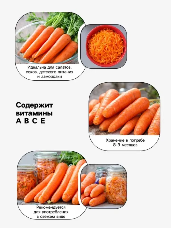 Семена Морковь &laquo;Красный великан Роте Ризен&raquo;, драже, 300 шт., &laquo;Росток-гель&raquo;