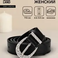 Ремень женский &laquo;Кэлли&raquo;, 110&times;3 см, пряжка металл, серебристая, чёрный