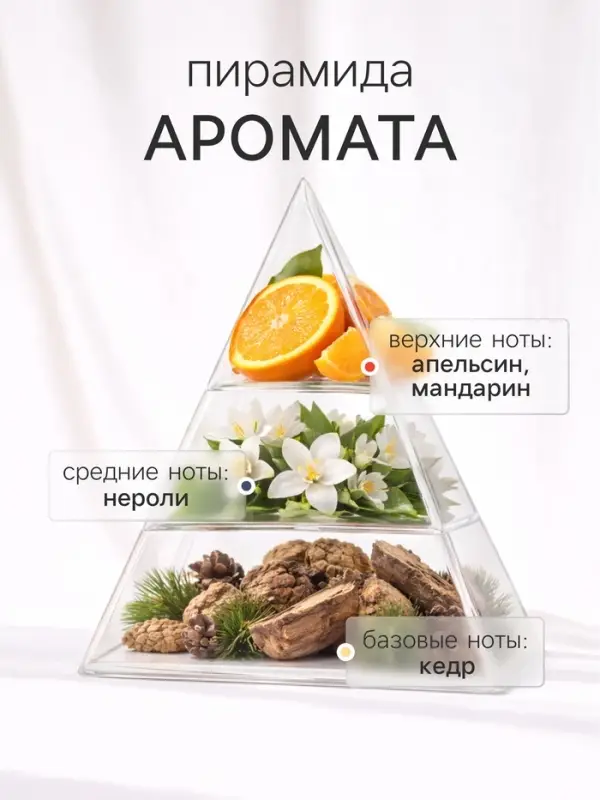 Диффузор ароматический с палочками XO The Hug, 200 мл