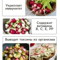 Семена Редис &laquo;Смесь Скороспелых сортов&raquo;, 2 г, &laquo;УРОЖАЙ УДАЧИ&raquo;