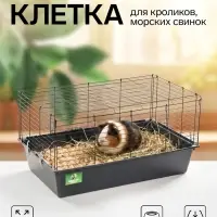 Клетка для кроликов, морских свинок &laquo;Пижон&raquo; №4 складная, 80&times;50&times;47 см, светло-серая