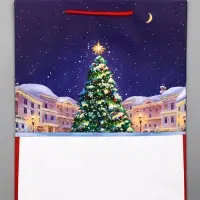 Пакет подарочный новогодний ламинированный, &laquo;Новогодний каток&raquo;, 26&times;12&times;32 см