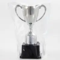 Кубок 113, наградная фигура, серебро, подставка пластик, 17.7 см