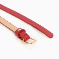 Ремень женский тонкий, 110&times;1.2 см, пряжка металл, золотистая, красный