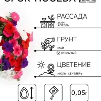 Семена цветов Петуния &laquo;Балконная&raquo;, 210 шт., &laquo;Дом семян&raquo;