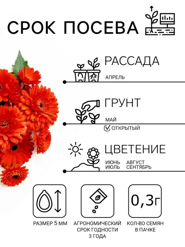 Семена цветов Календула махровая «Красный ковёр», 0.3 г, «Урожай удачи» Семена цветов Календула махровая «Красный ковёр», 0.3 г, «Урожай удачи»