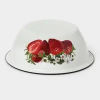 Миска эмалированная, 4 л, белая