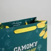 Пакет подарочный ламинированный, упаковка, «Самому Лучшему Учителю», ML 27 х 23 х 11.5 см