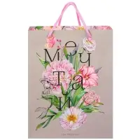 Пакет подарочный «Мечтай»,18х23х10 см, упаковка, Принцессы