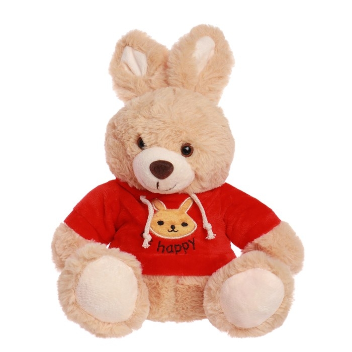 Мягкая игрушка «Зайчик в кофте», цвета МИКС Мягкая игрушка «Зайчик в кофте», цвета МИКС