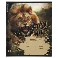 Тетрадь 24 листа в линейку ErichKrause Stay Wild, 60 г/м&sup2;, обложка мелованный картон, МИКС