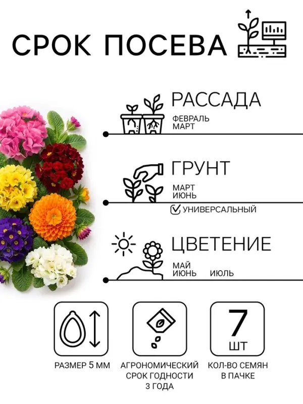 Семена цветов Примула "Розелла", смесь окрасок, F1, 7 шт