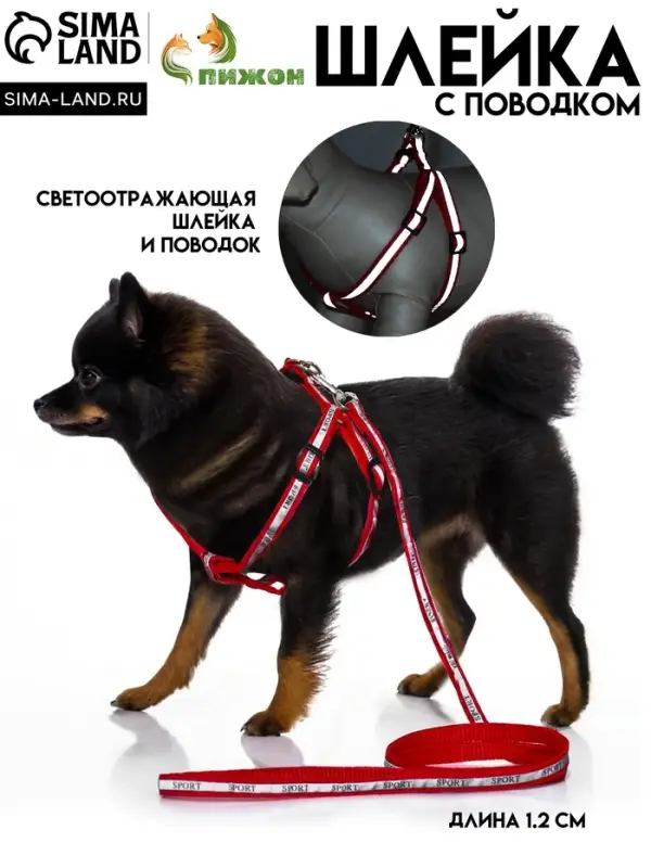 Шлейка с поводком &laquo;Спорт&raquo;, ОГ 23-35 с, ширина 1 см, поводок 120 см, светоотражающий, красная