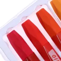 Пастель масляная 24 цвета, в бумажном держателе, в картонной коробке