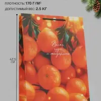 Пакет подарочный &laquo;Время чудес и мандаринок&raquo;, 33&times;10&times;42.5 см
