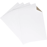 Картон белый Выбор есть Отличник 20л А4 немелован.пакет