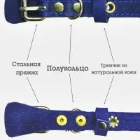 Ошейник, безразмерный, 35&times;1.5 см, с подпряжником, кожа, синий