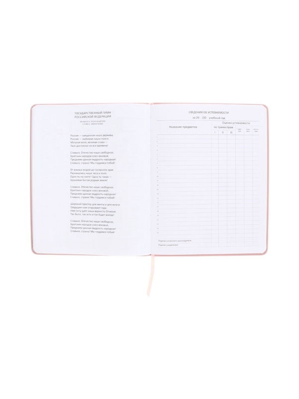 Дневник школьный 1-11 класс, deVENTE. Karma, искусственная кожа, шелкография