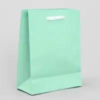 Пакет подарочный ламинированный, упаковка, &laquo;Зелёный&raquo;, S 12 х 15 х 5.5 см