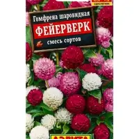 Семена цветов Гомфрена шаровидная Фейерверк, смесь сортов , Ц/П,0,1 г Семена цветов Гомфрена шаровидная Фейерверк, смесь сортов , Ц/П,0,1 г