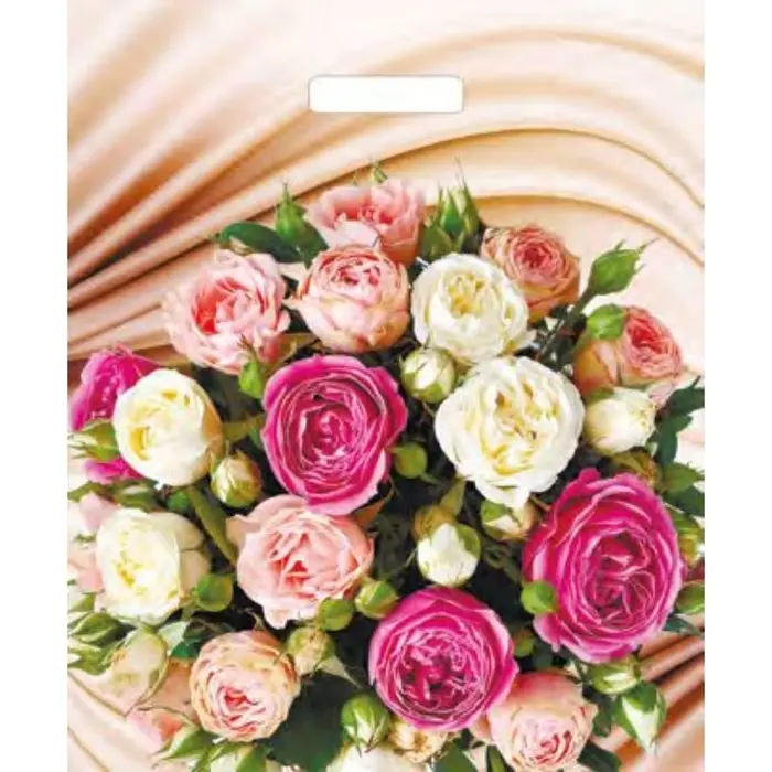 Пакет «Желанный букет», полиэтиленовый, с вырубной ручкой, 38×45 см, 60 мкм Пакет «Желанный букет», полиэтиленовый, с вырубной ручкой, 38×45 см, 60 мкм