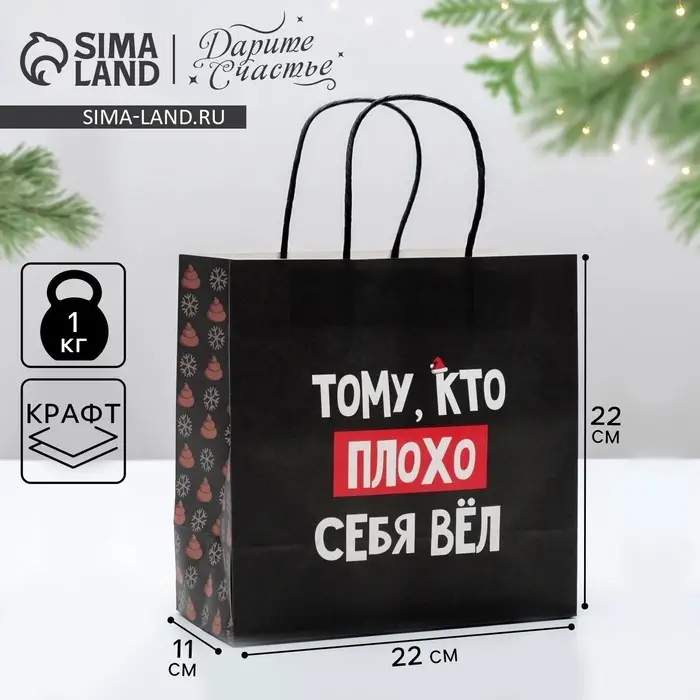 Пакет подарочный новогодний «Кто плохо себя вёл», 22 х 22 х 11 см