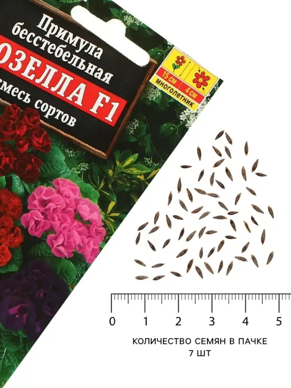 Семена цветов Примула "Розелла", смесь окрасок, F1, 7 шт