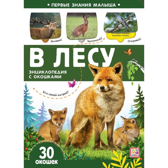 Книжка с окошками «В лесу» Книжка с окошками «В лесу»