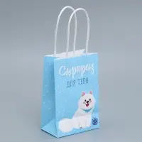 Пакет подарочный крафтовый, упаковка, &laquo;Сюрприз для тебя&raquo;, 15&times;10&times;6 см