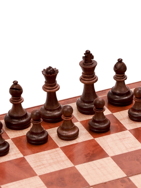 Шахматы магнитные 24 х 24 см, король h-4.9 см, пешка h-2.4 см Шахматы магнитные 24 х 24 см, король h-4.9 см, пешка h-2.4 см