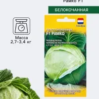 Семена Капуста белокочанная &laquo;Рамко&raquo; F1, 10 шт., Голландия, для квашения
