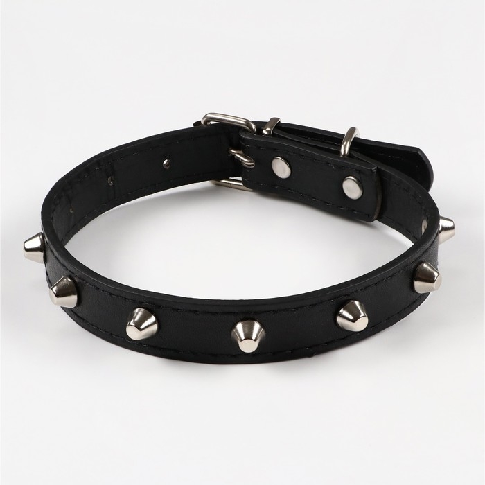 Ошейник с затупленными шипами, 45 х 2 см, микс цветов Ошейник с затупленными шипами, 45 х 2 см, микс цветов